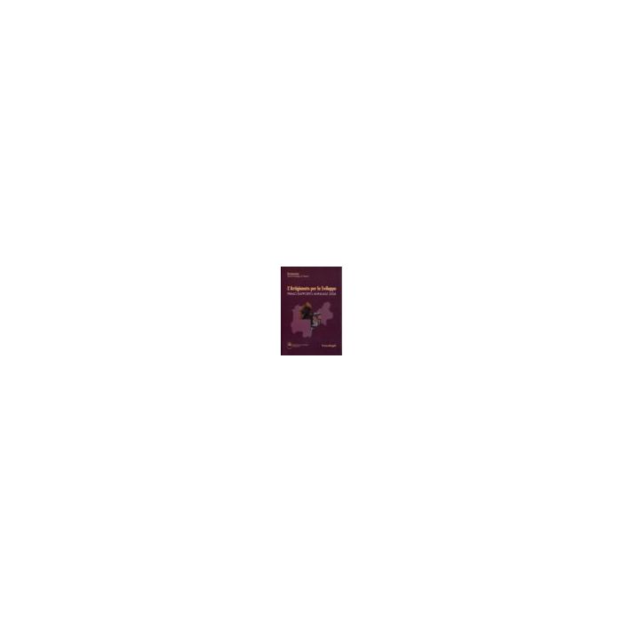 L' Artigianato Per Lo Sviluppo. Primo Rapporto Annuale 2006  - Ermeneia - Franco Angeli - 9788846478443