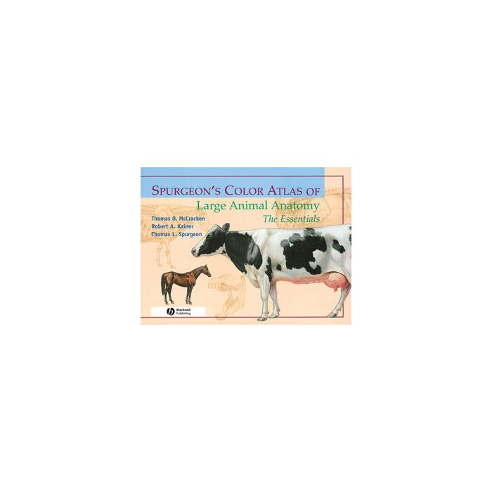 Spurgeon's Color Atlas of Large Animal Anatomy: The Essentials  McCracken Thomas O.; Kainer Robert A.; Spurgeon Thomas L.  Wiley-Blackwell  9780683306736
