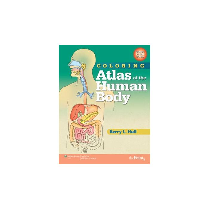 Coloring Atlas of the Human Body  Hull Kerry  LIPPINCOTT Williams and Wilkins  9780781765305