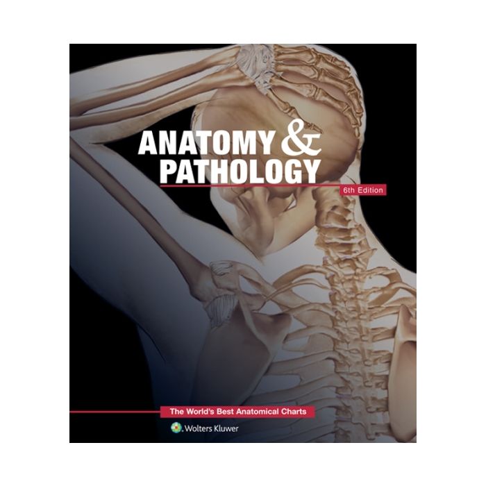 Anatomy & Pathology:The World's Best Anatomical Charts Book, 6ed. - Anatomical Chart Company - LIPPINCOTT Williams and Wilkins - 9781469889900 Anatomy & Pathology:The World's Best Anatomical Charts Book, 6ed. - Anatomical Chart Company - LIPPINCOTT Williams and Wilkins - 9781469889900