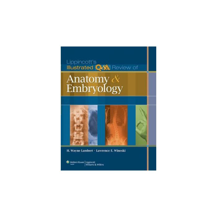 Lippincott's Illustrated Q&A Review of Anatomy and Embryology  Lambert H. Wayne; Wineski Lawrence E.  LIPPINCOTT Williams and Wilkins  9781605473154 Lippincott's Illustrated Q&A Review of Anatomy and Embryology  Lambert H. Wayne; Wineski Lawrence E.  LIPPINCOTT Williams and Wilkins  9781605473154