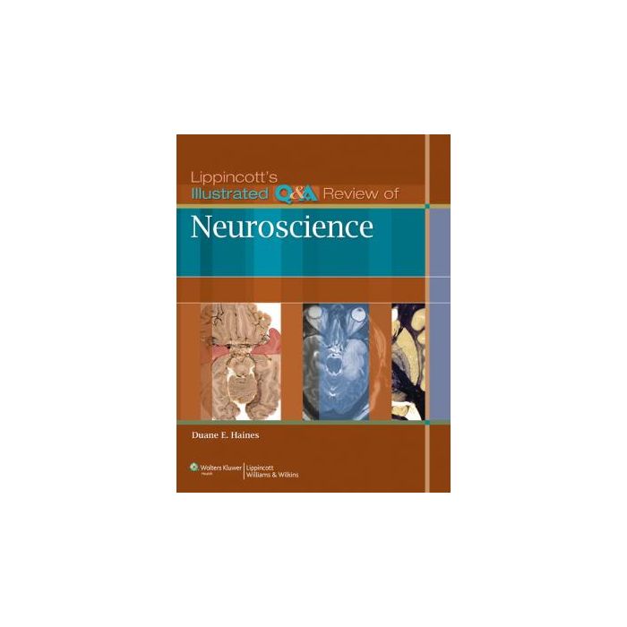 Lippincott's Illustrated Q&A Review of Neuroscience  Haines Duane E.  LIPPINCOTT Williams and Wilkins  9781605478227