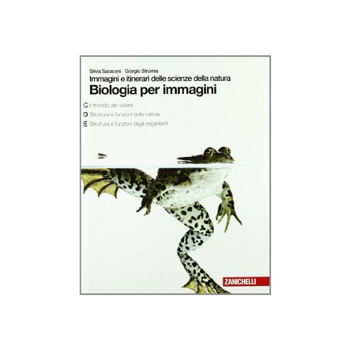 Dizionario Della Pubblicita'. Storia, Tecniche, Personaggi Dizionario Della Pubblicita'. Storia, Tecniche, Personaggi