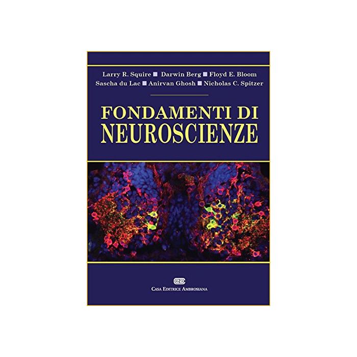 Fondamenti di neuroscienze Squire Larry; Berg Darwin; Bloom Floyd E. Ambrosiana / CEA 9788808185877 Fondamenti di neuroscienze Squire Larry; Berg Darwin; Bloom Floyd E. Ambrosiana / CEA 9788808185877