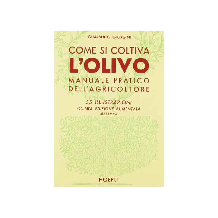 Come Si Coltiva L'olivo