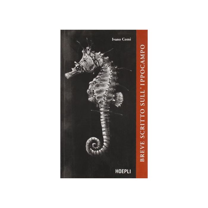 Breve Scritto Sull'ippocampo Breve Scritto Sull'ippocampo