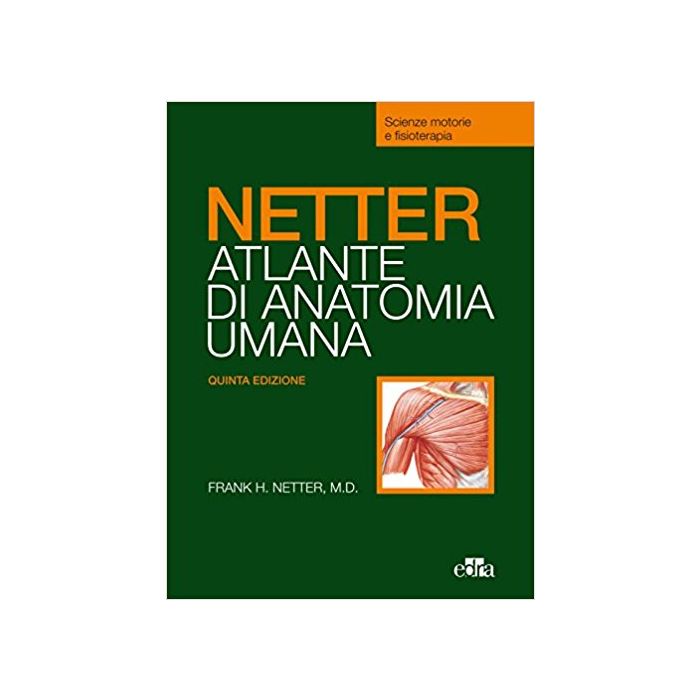 Netter. Atlante di anatomia umana Per i corsi di Scienze motorie e Fisioterapia  Netter  Edra Masson