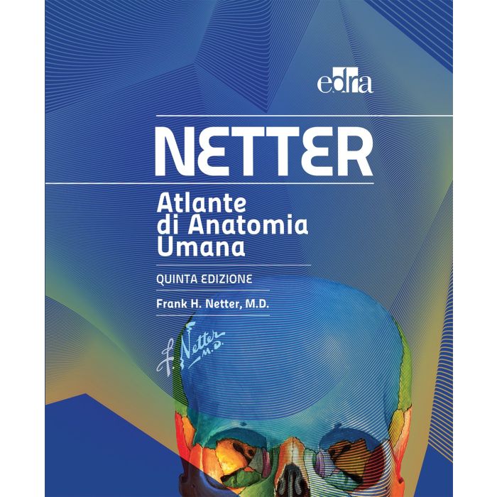 Atlante di Anatomia Umana Netter. Quadernone per appunti IN OMAGGIO  Netter Frank H.  Elsevier Masson Italia  9788821441905
