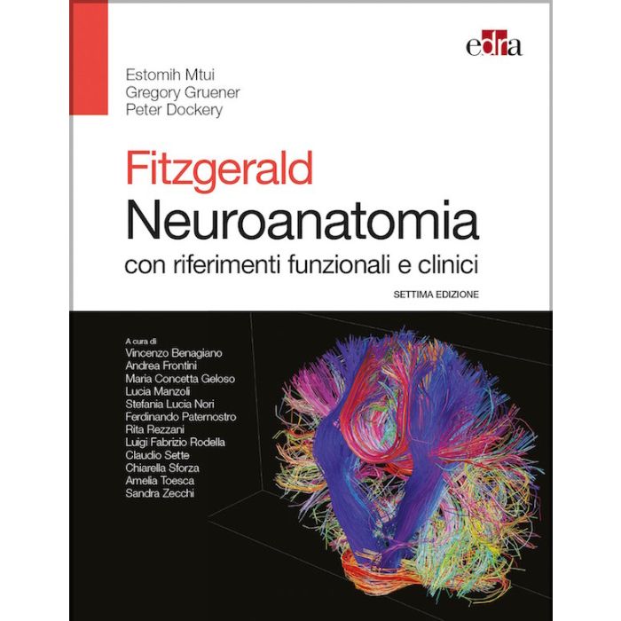 FITZGERALD Neuroanatomia 7 edizione Edra