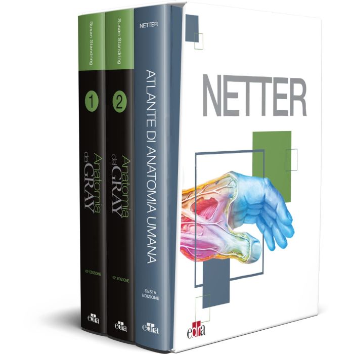 Gray Netter 2022 nuova edizione anatomia con cofanetto edra