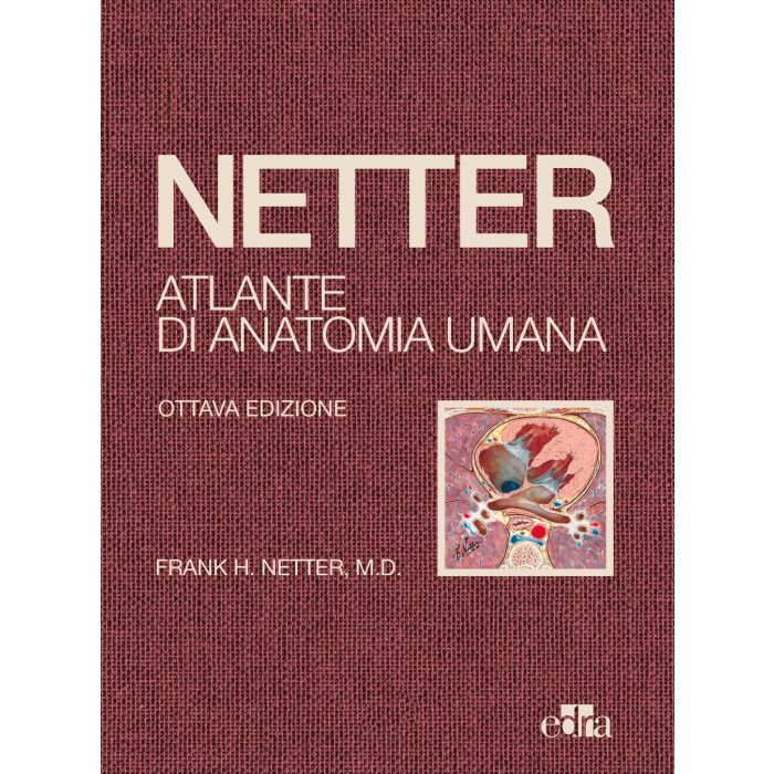 Netter Atlante di anatomia umana ultima edizione 2023