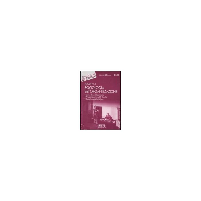 Elementi Di Sociologia Dell'organizzazione - Micillo R.  - Simone - 9788824453691
