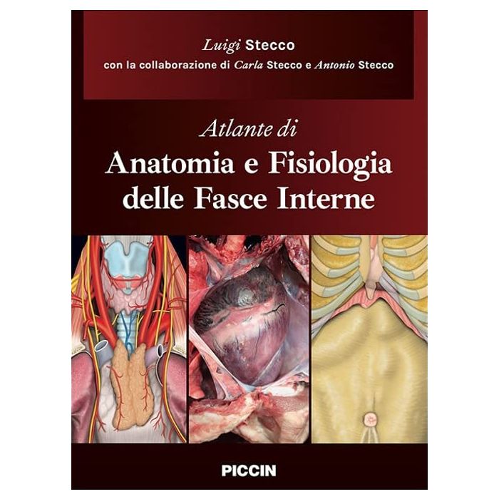 Stecco Atlante di anatomia e fisiologia delle fasce interne piccin editore