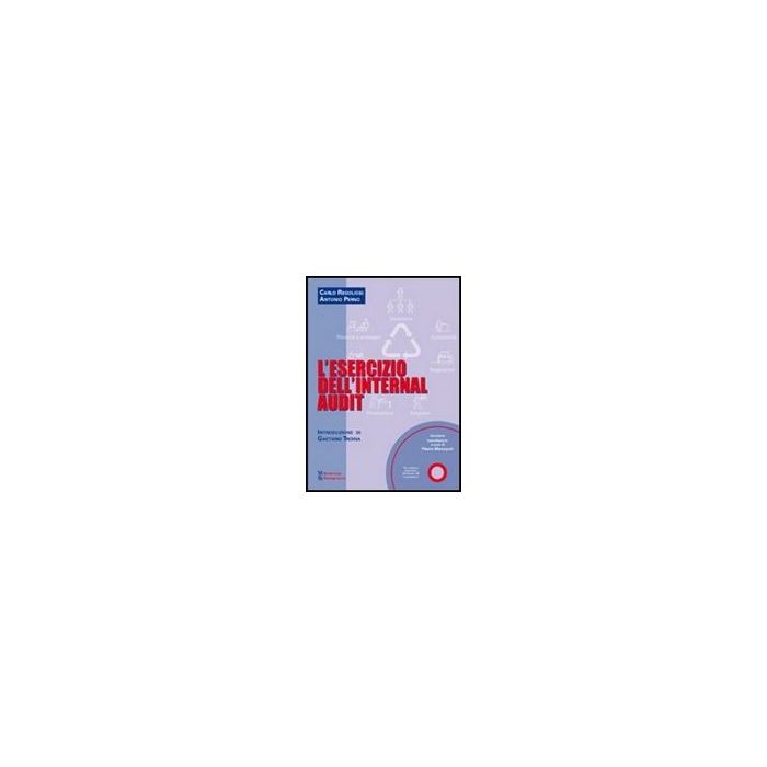 L' Esercizio Dell'internal Audit. Con Cd-rom 