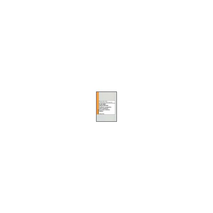 Il Quadro Delle Regole. Problemi E Prospettive Della Regolazione Del Settore  Elettrico Italiano - Beccarello Massimo; Marzi Graziella; Prosperetti Luigi - Franco Angeli - 9788846470454
