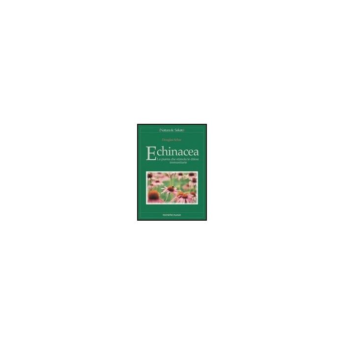 Echinacea. La Pianta Che Stimola Le Difese Immunitarie Echinacea. La Pianta Che Stimola Le Difese Immunitarie