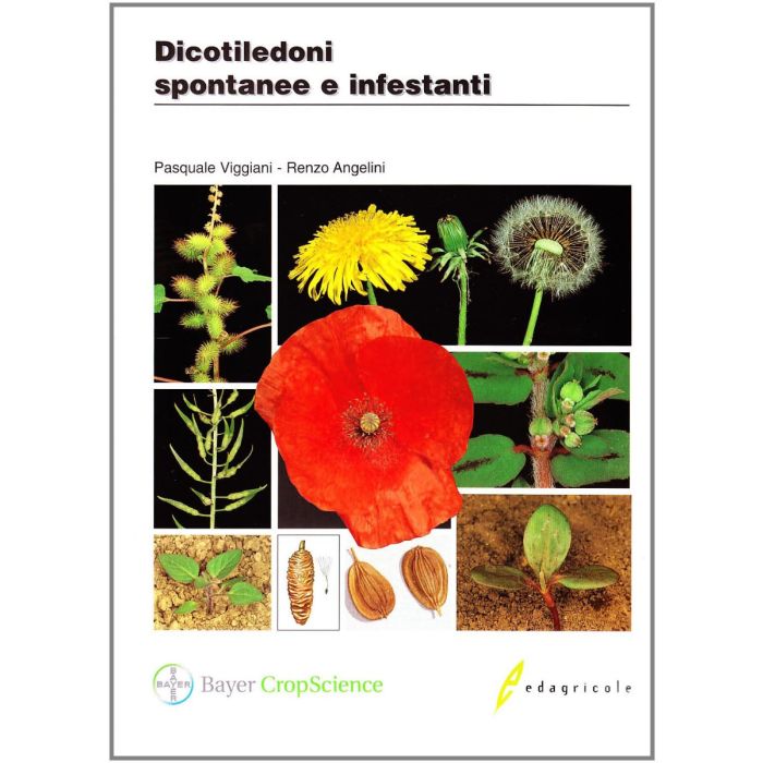Dicotiledoni spontanee e infestanti Viggiani Angelini Edagricole Dicotiledoni spontanee e infestanti Viggiani Angelini Edagricole