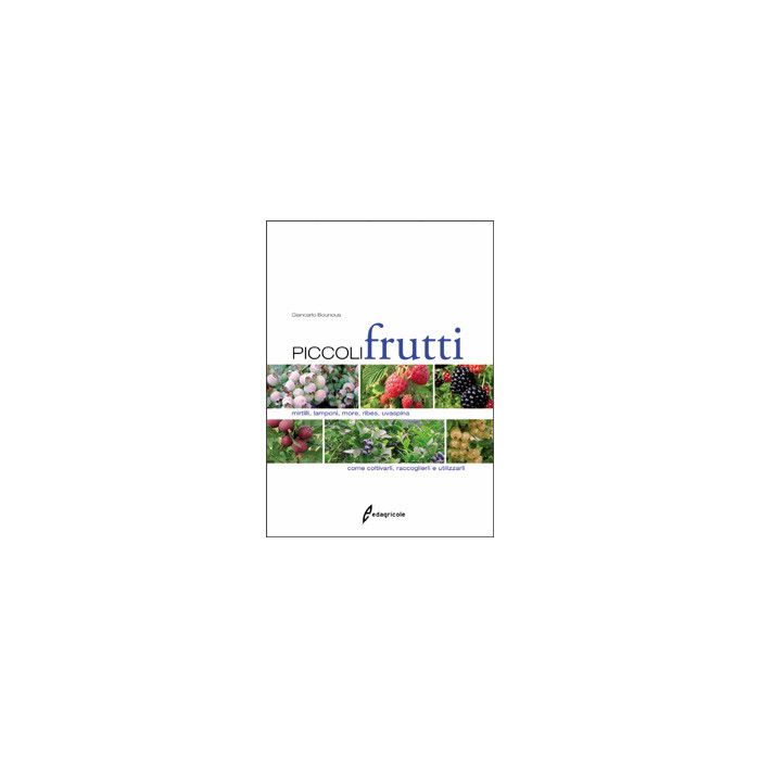 Piccoli frutti. Mirtilli, lamponi, more, ribes, uvaspina: come coltivarli, raccoglierli e utilizzarli Bounous Giancarlo Edagricole / Il Sole 24 Ore 9788850652709 Piccoli frutti. Mirtilli, lamponi, more, ribes, uvaspina: come coltivarli, raccoglierli e utilizzarli Bounous Giancarlo Edagricole / Il Sole 24 Ore 9788850652709