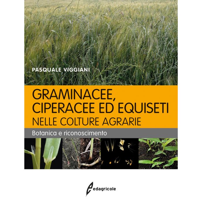 Graminecee, ciperacee ed equiseti nelle colture agrarie. Botanica e riconoscimento Viggiani Pasquale Edagricole / Il Sole 24 Ore 9788850654390 Graminecee, ciperacee ed equiseti nelle colture agrarie. Botanica e riconoscimento Viggiani Pasquale Edagricole / Il Sole 24 Ore 9788850654390