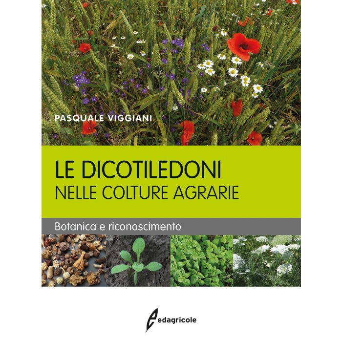 Le dicotiledoni nelle colture agrarie. Botanica e riconoscimento Viggiani Pasquale Edagricole / Il Sole 24 Ore 9788850654406 Le dicotiledoni nelle colture agrarie. Botanica e riconoscimento Viggiani Pasquale Edagricole / Il Sole 24 Ore 9788850654406