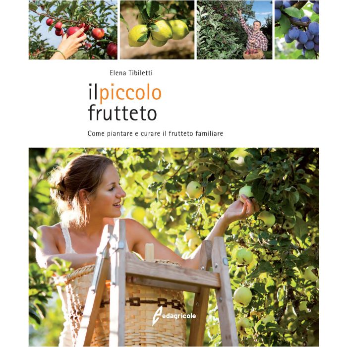 Il piccolo frutteto. Come piantare e curare il frutteto familiare  Tibiletti Elena  Edagricole / Il Sole 24 Ore  9788850654437