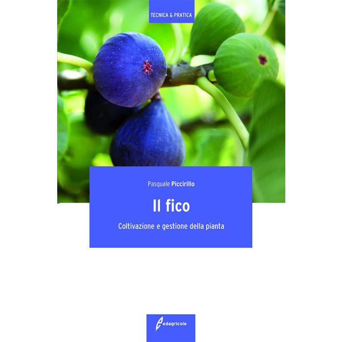 Il fico. Coltivazione e gestione della pianta Piccirillo Pasquale Edagricole / Il Sole 24 Ore 9788850654833 Il fico. Coltivazione e gestione della pianta Piccirillo Pasquale Edagricole / Il Sole 24 Ore 9788850654833