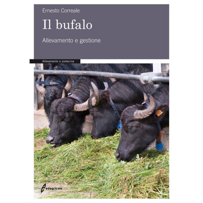 Il bufalo. Allevamento e gestione Correale Ernesto Edagricole / Il Sole 24 Ore 9788850654840 Il bufalo. Allevamento e gestione Correale Ernesto Edagricole / Il Sole 24 Ore 9788850654840