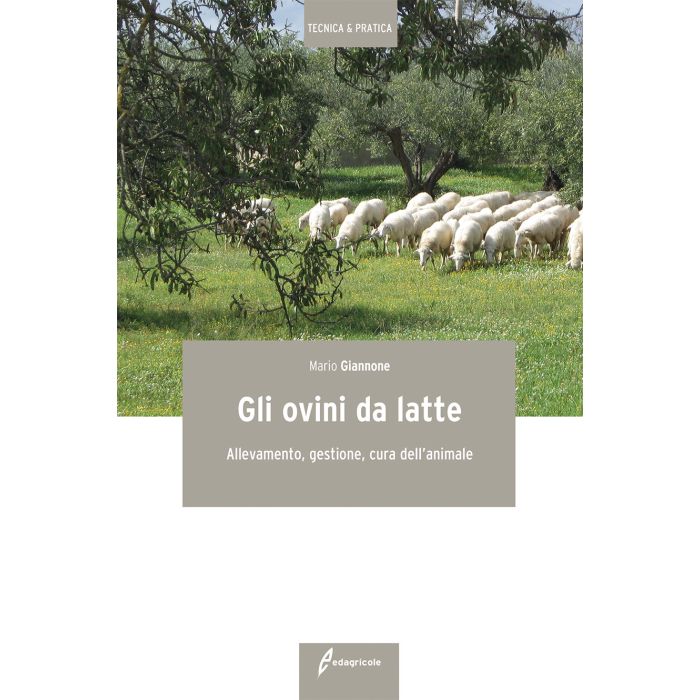 Gli ovini da latte. Allevamento, gestione, cura dell'animale Giannone Mario Edagricole / Il Sole 24 Ore 9788850654987 Gli ovini da latte. Allevamento, gestione, cura dell'animale Giannone Mario Edagricole / Il Sole 24 Ore 9788850654987