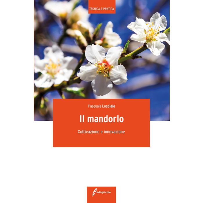 Il mandorlo. Coltivazione e innovazione  Losciale Pasquale  Edagricole / Il Sole 24 Ore  9788850655052