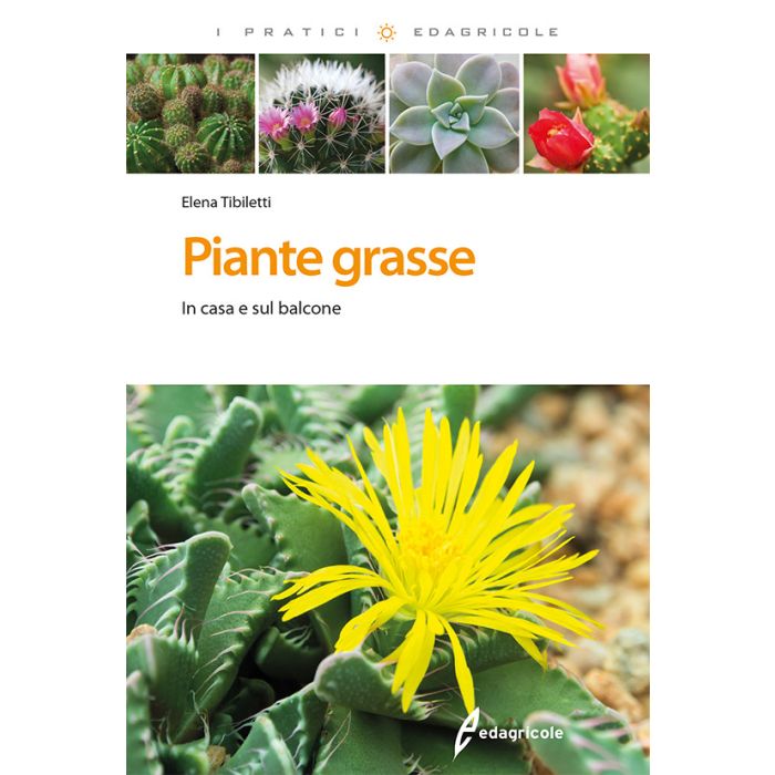 Piante grasse. In casa e sul balcone Tibiletti Elena Edagricole / Il Sole 24 Ore 9788850655120 Piante grasse. In casa e sul balcone Tibiletti Elena Edagricole / Il Sole 24 Ore 9788850655120