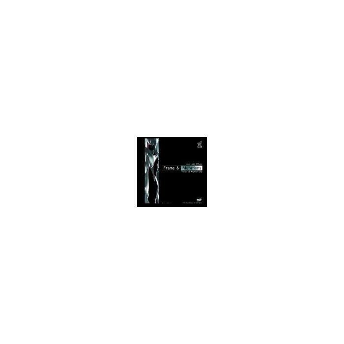 Frame & Mutations. Visioni Di Architettura - Affuso Luigi - Aracne - 9788854803275