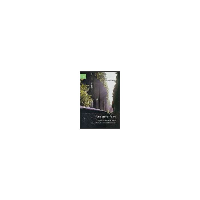 Una Storia Felice. Il Gas Naturale In Italia Da Mattei Al Transmediterraneo  - Zanardo Alessio - Aracne - 9788854816183