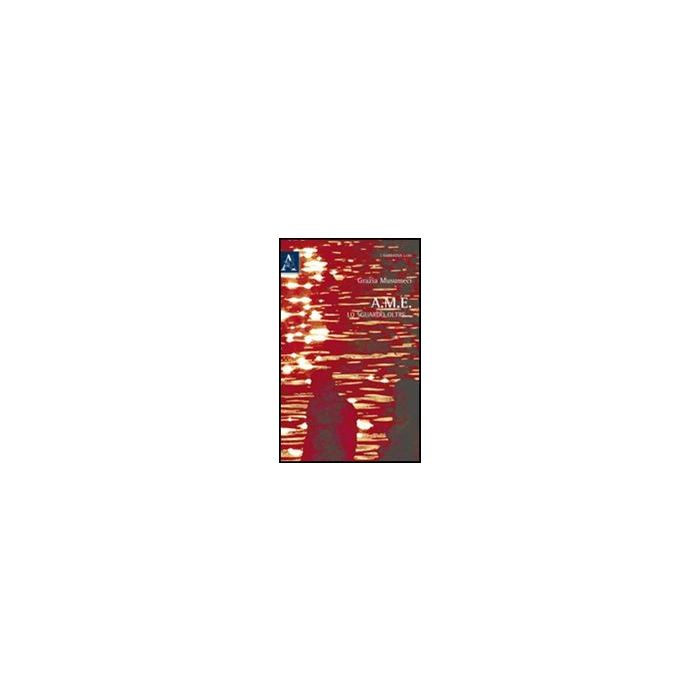 A.m.e. Lo Sguardo Oltre - Musumeci Grazia - Aracne - 9788854837591