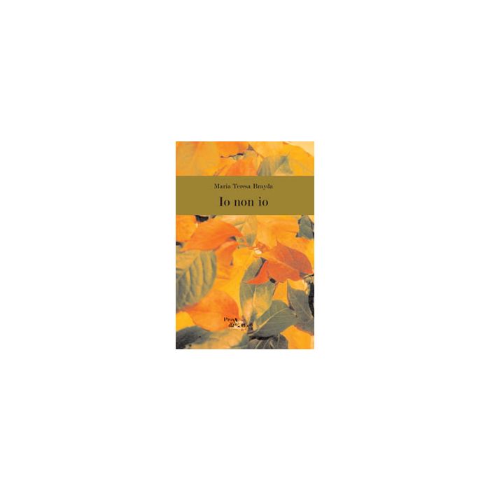 Io Non Io - Brayda M. Teresa - Aracne - 9788854866447