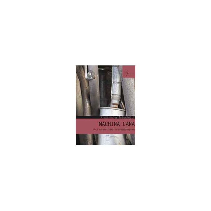 Machina Cana. Voci Da Una Citta' In Trasformazione - Trionfetti Alessandro - Aracne - 9788854871151 Machina Cana. Voci Da Una Citta' In Trasformazione - Trionfetti Alessandro - Aracne - 9788854871151
