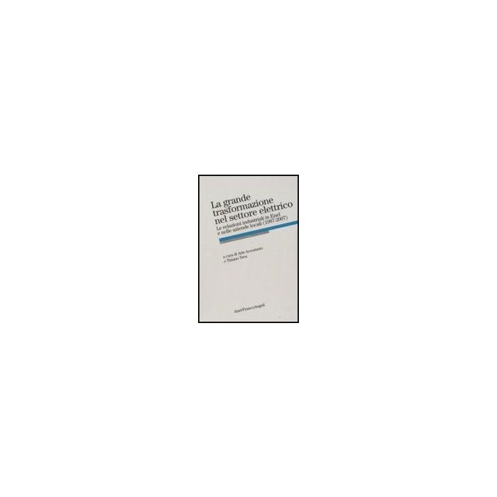 Grande Trasformazione Nel Settore Elettrico. Le Relazioni Industriali In Enel E  Nelle Aziende Locali (1987-2007) - Accornero A. ; Treu T.  - Franco Angeli - 9788856806489