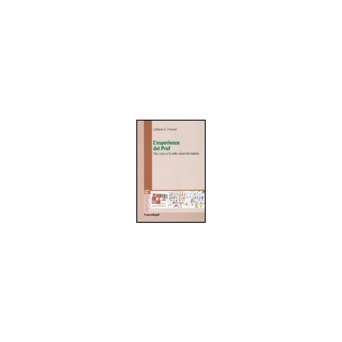 L' Esperienza Del Prof. Che Cosa Si Fa Nelle Universita' Italiane  - Fassari Letteria G. - Franco Angeli - 9788856806786