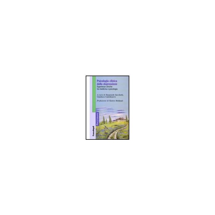 Psicologia Clinica Della Depressione. Esperienze Cliniche Tra Medicina E Psicologia - Zacchetti E. ; Castelnuovo G.  - Franco Angeli - 9788856817584