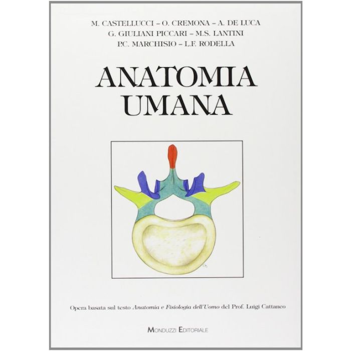 ANATOMIA UMANA CASTELLUCCI CREMONA LANTINI MONDUZZI editore