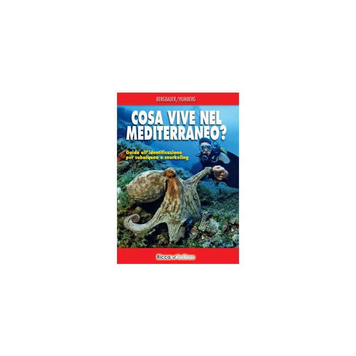 Cosa vive nel Mediterraneo? Guida all'identificazione per subacquei e snorkeling  Bergbauer Matthias  Franco Muzzio Editore  9788866940166