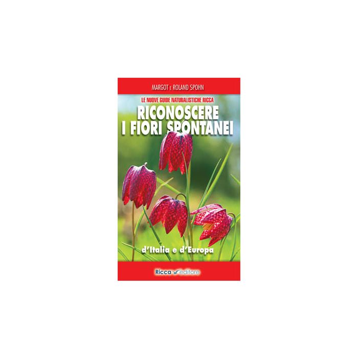 Riconoscere i fiori spontanei d'Italia e d'Europa Spohn Margot; Spohn Roland Franco Muzzio Editore 9788866940234 Riconoscere i fiori spontanei d'Italia e d'Europa Spohn Margot; Spohn Roland Franco Muzzio Editore 9788866940234
