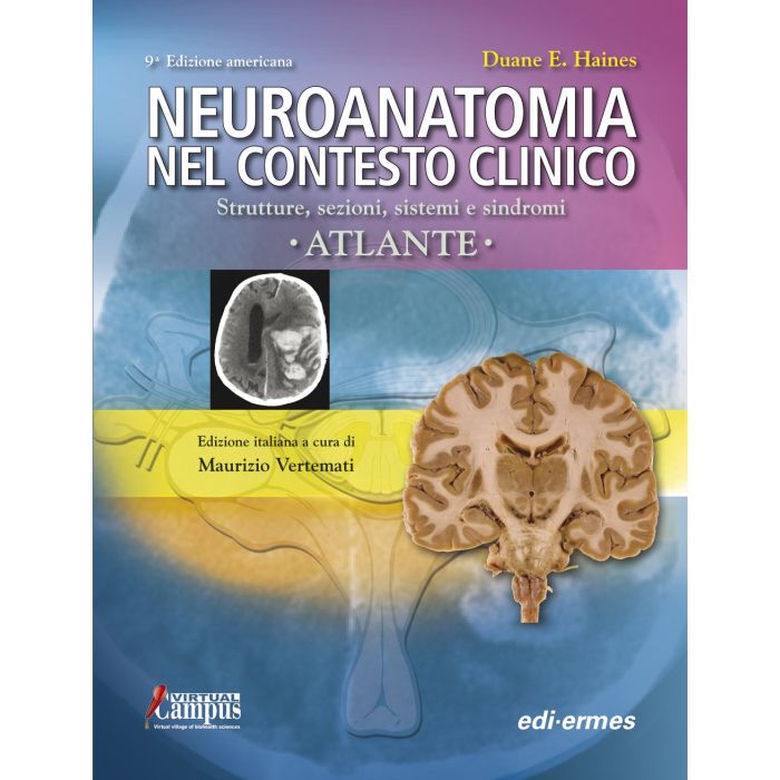 Neuroanatomia nel contesto clinico - Atlante. Strutture, sezioni, sistemi e sindromi  Haines Duane E.  Edi Ermes  9788870514988 Neuroanatomia nel contesto clinico - Atlante. Strutture, sezioni, sistemi e sindromi  Haines Duane E.  Edi Ermes  9788870514988