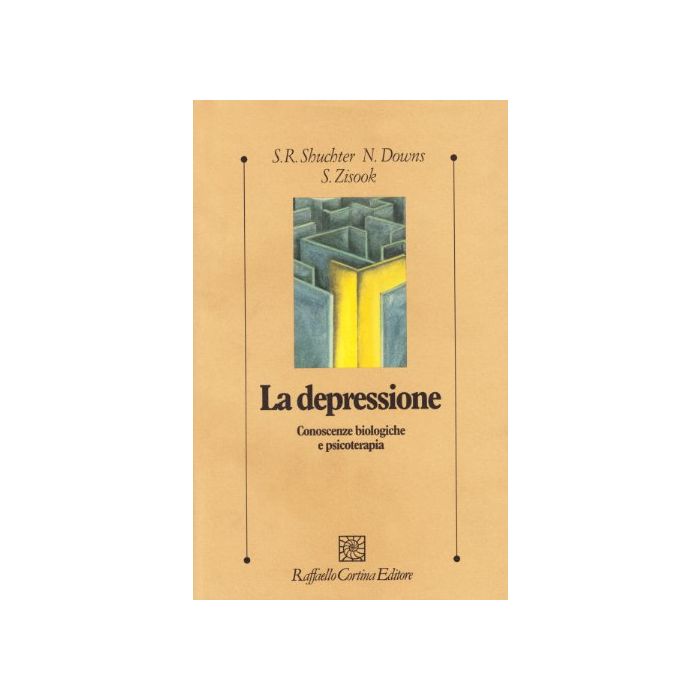 La Depressione. Conoscenze Biologiche E Psicoterapia  - Shuchter Stephen; Downs Nancy; Zisook Sidney; Lingiardi V.  - Cortina Raffaello - 9788870784695
