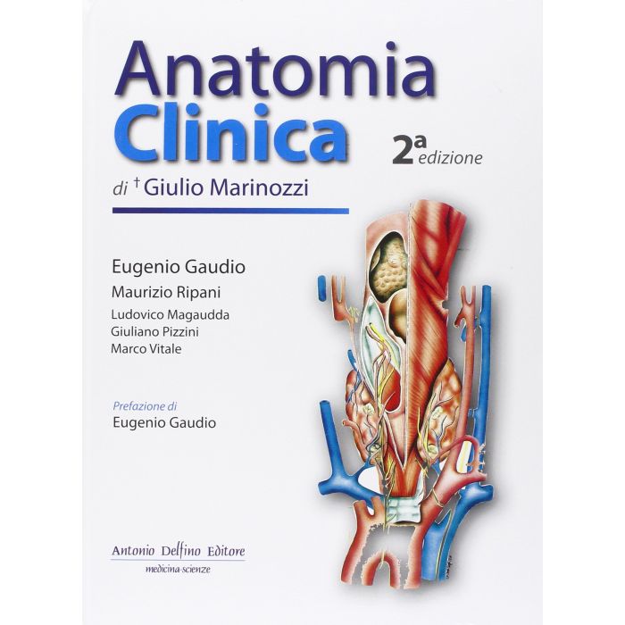 Anatomia Clinica 2° nuova edizione di Marinozzi e Gaudio - Delfino Antonio Editore Anatomia Clinica 2° nuova edizione di Marinozzi e Gaudio - Delfino Antonio Editore