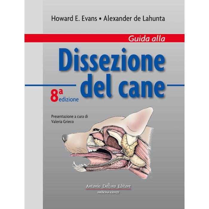 Evans Dissezione del cane