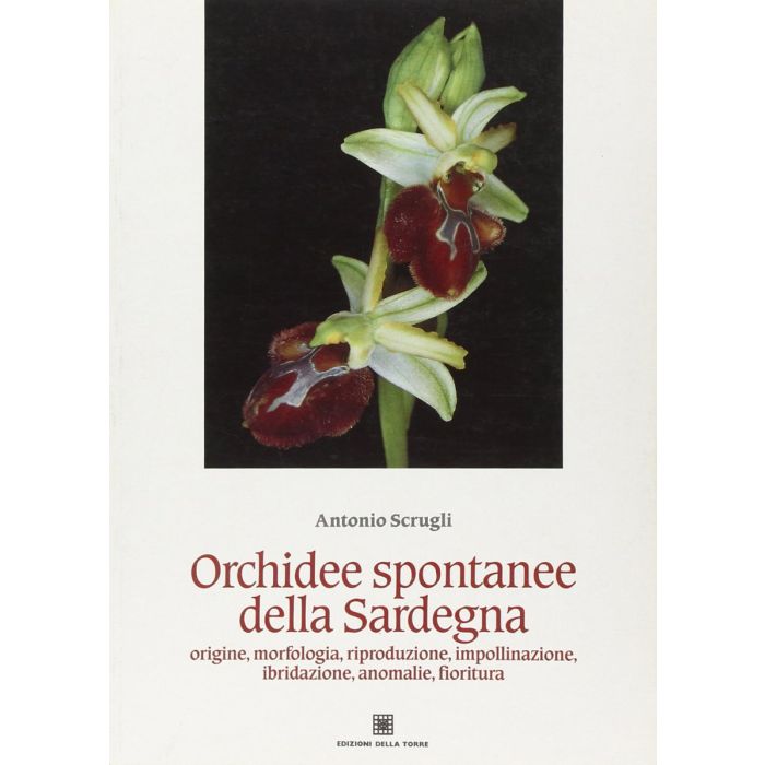 Antonio Scrugli Orchidee spontanee della sardegna della torre edizioni