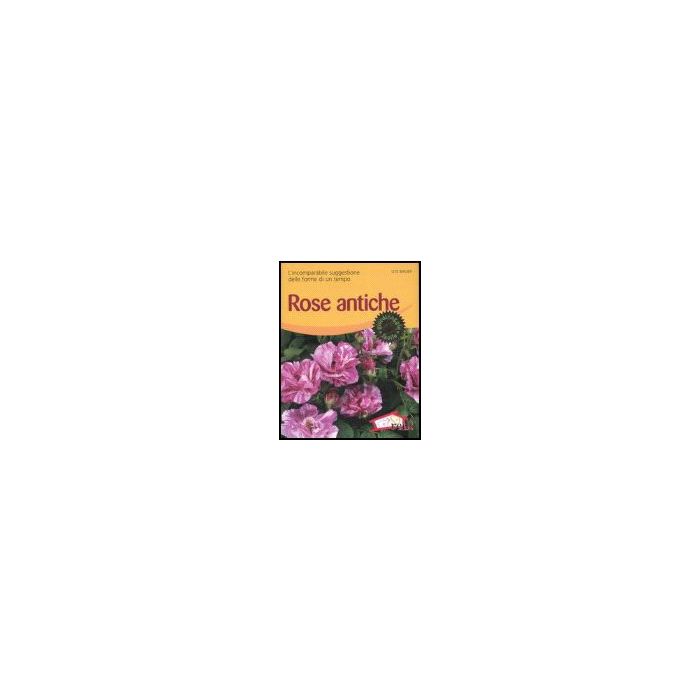 Rose Antiche. L'incomparabile Suggestione Delle Forme Di Un Tempo - Bauer Ute - Red Edizioni - 9788874475186