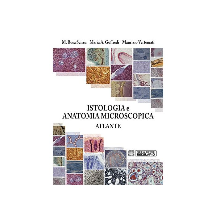 Istologia e Anatomia Microscopica. Atlante Vertemati Maurizio; Scirea M. Rosa; Goffredi M. Albina Esculapio 9788874889129 Istologia e Anatomia Microscopica. Atlante Vertemati Maurizio; Scirea M. Rosa; Goffredi M. Albina Esculapio 9788874889129