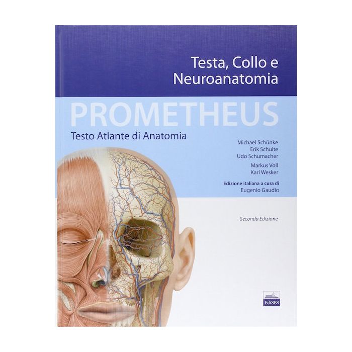 Prometheus Testo Atlante di Anatomia Testa Collo Neuroanatomia  2/Ed Prometheus Testo Atlante di Anatomia Testa Collo Neuroanatomia  2/Ed