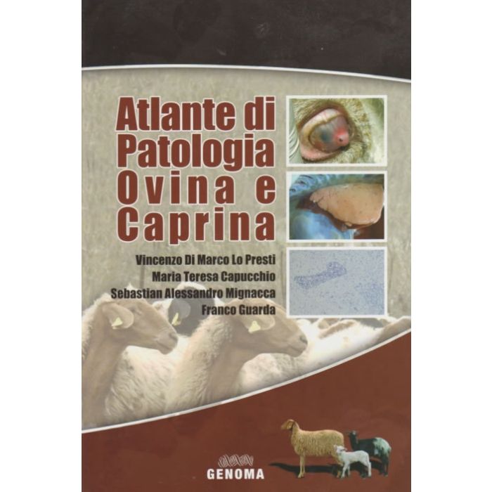 Atlante di patologia ovina e caprina Di Marco Lopresti Vincenzo; Capucchio Maria Teresa; Mignacca Sebastian Alessandro; Guarda Franco genoma